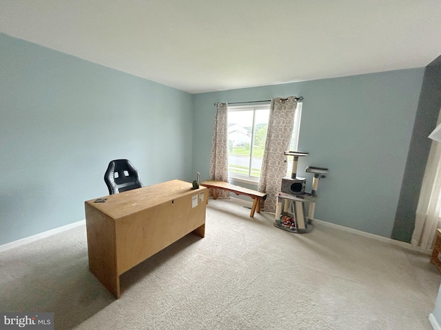 3603 Regency Dr, Reading, PA 19608 - carpeted office space with baseboards
