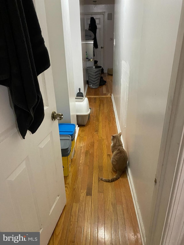 2055 W Oxford St, Philadelphia, PA 19121 - hall with hardwood / wood-style floors and baseboards