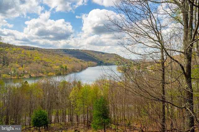 285 Cherry Heights Ln, Mc Henry, MD 21541 - water view featuring a heavily wooded area