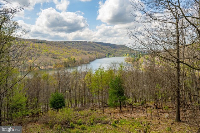 285 Cherry Heights Ln, Mc Henry, MD 21541 - water view with a heavily wooded area