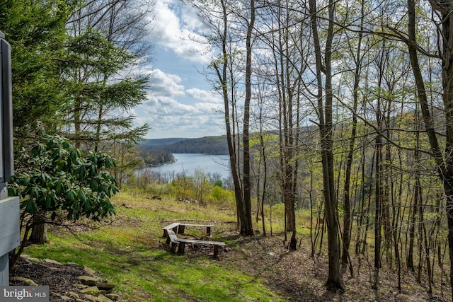 285 Cherry Heights Ln, Mc Henry, MD 21541 - water view with a heavily wooded area
