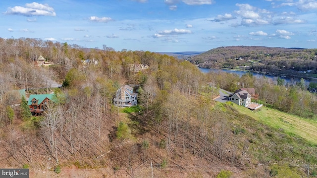 285 Cherry Heights Ln, Mc Henry, MD 21541 - view of subject property with a large body of water and a forest