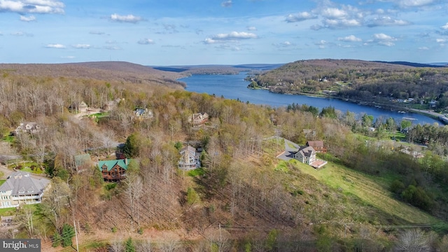 285 Cherry Heights Ln, Mc Henry, MD 21541 - view of property location with a large body of water and a forest