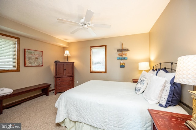 285 Cherry Heights Ln, Mc Henry, MD 21541 - bedroom with light colored carpet and a ceiling fan