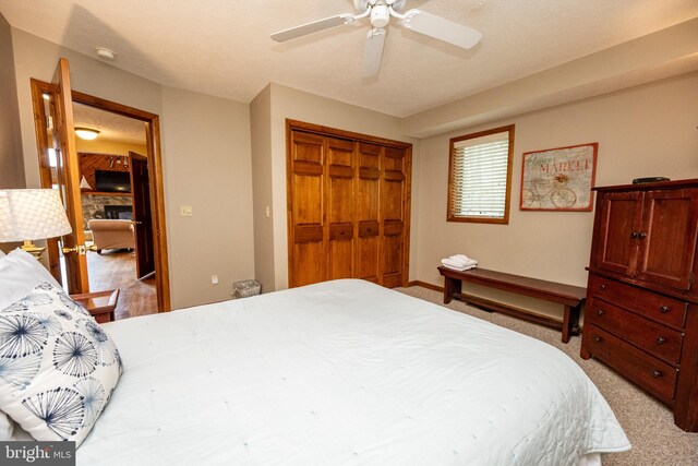 285 Cherry Heights Ln, Mc Henry, MD 21541 - bedroom featuring light carpet, a closet, a ceiling fan, and baseboards