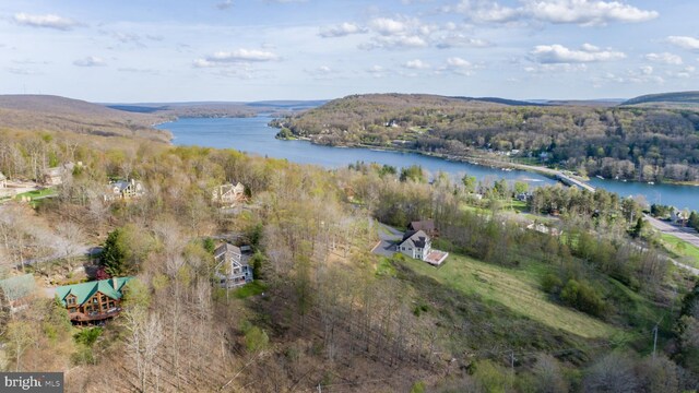 285 Cherry Heights Ln, Mc Henry, MD 21541 - aerial overview of property's location featuring a nearby body of water and a heavily wooded area
