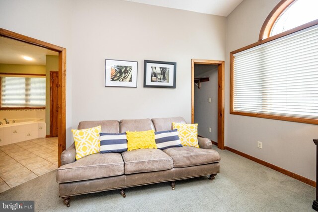 285 Cherry Heights Ln, Mc Henry, MD 21541 - living area featuring plenty of natural light, carpet floors, and baseboards