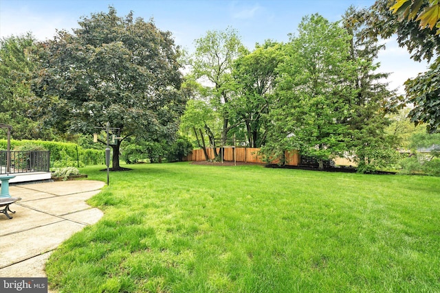 view of yard with a patio and view of scattered trees
