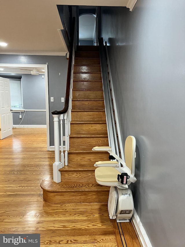 2322 79th Ave, Philadelphia, PA 19150 - stairs with crown molding and wood finished floors