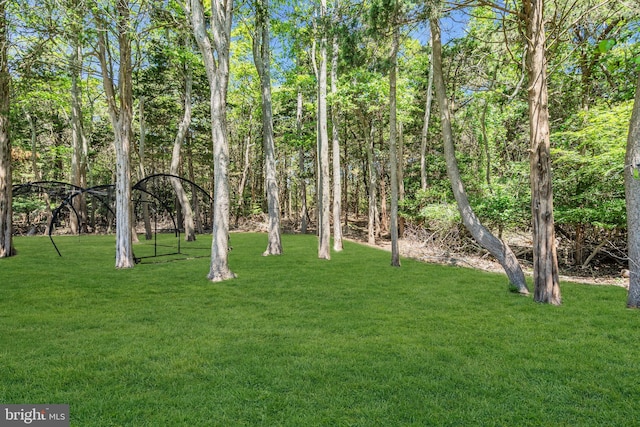 16 Bayberry Dr, Lanoka Harbor, NJ 08734 - view of green lawn
