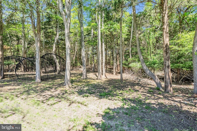 16 Bayberry Dr, Lanoka Harbor, NJ 08734 - view of local wilderness