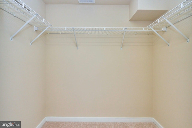 2200 N Westmoreland St Unit 325, Arlington, VA 22213 - spacious closet featuring carpet floors