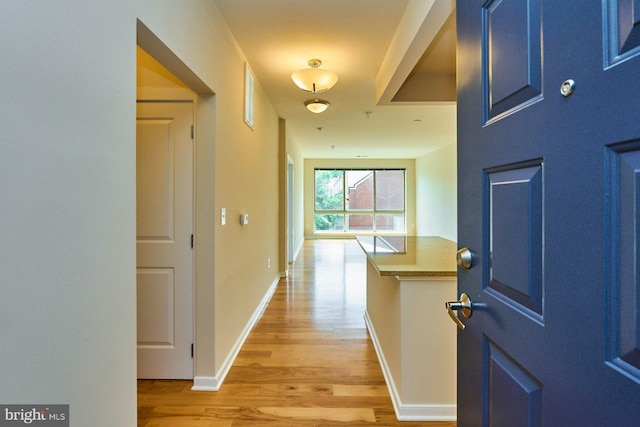 2200 N Westmoreland St Unit 325, Arlington, VA 22213 - hallway with light wood-type flooring and baseboards