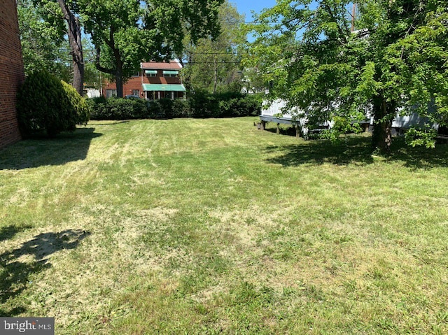 4333 Hayes St NE, Washington, DC 20019 - view of green lawn