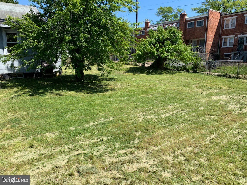 4333 Hayes St NE, Washington, DC 20019 - view of yard