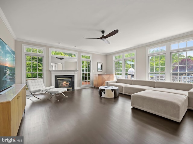 720 Cyprian Ct, Gambrills, MD 21054 - living room with crown molding, plenty of natural light, ceiling fan, a glass covered fireplace, and dark wood-style floors