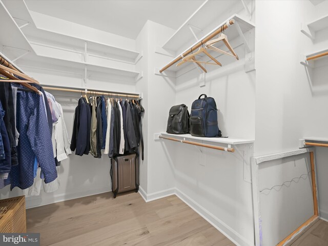 720 Cyprian Ct, Gambrills, MD 21054 - spacious closet with light wood-style floors