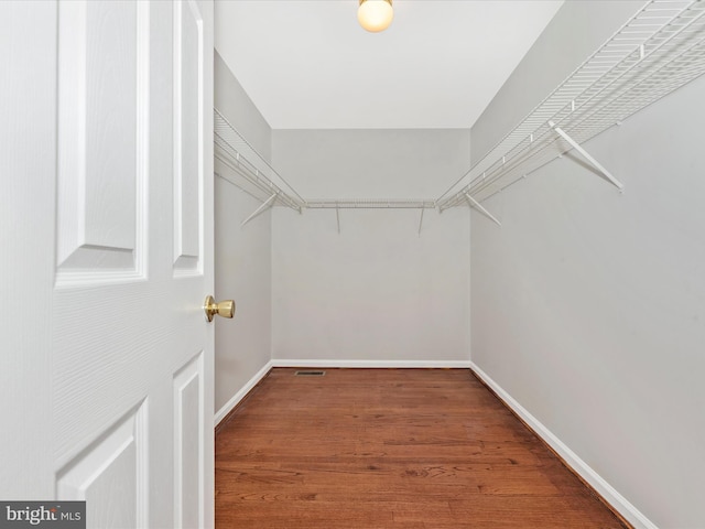 spacious closet featuring wood finished floors