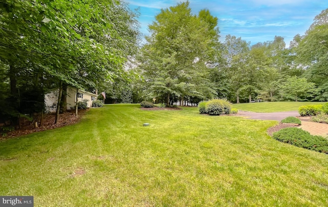 9150 Sparkling Pl, Charlotte Hall, MD 20622 - view of green lawn