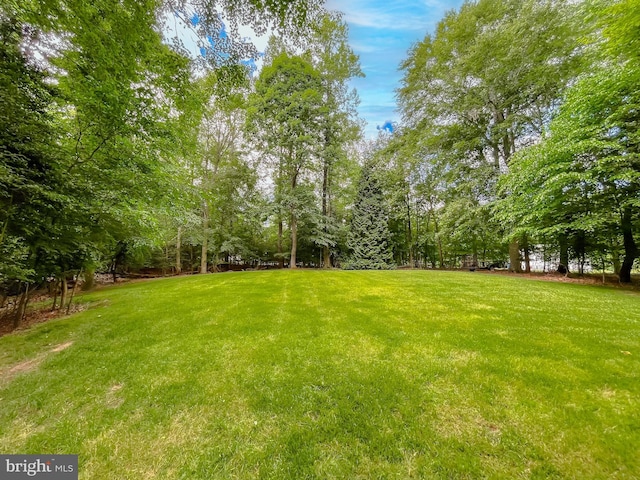 9150 Sparkling Pl, Charlotte Hall, MD 20622 - view of grassy yard