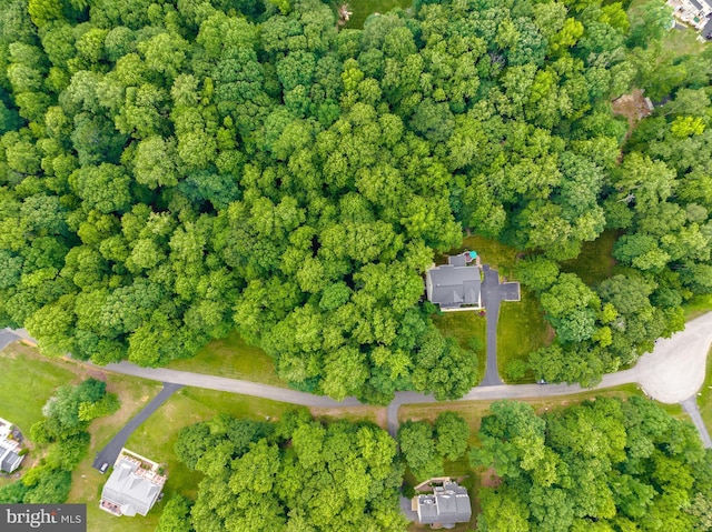 9150 Sparkling Pl, Charlotte Hall, MD 20622 - bird's eye view