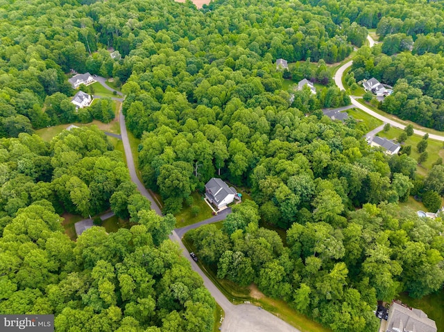 9150 Sparkling Pl, Charlotte Hall, MD 20622 - bird's eye view of a forest