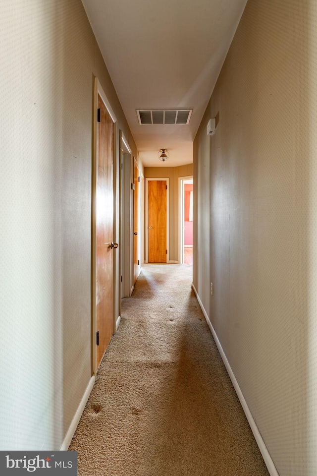 904 W Main St, New Holland, PA 17557 - hallway featuring carpet and baseboards