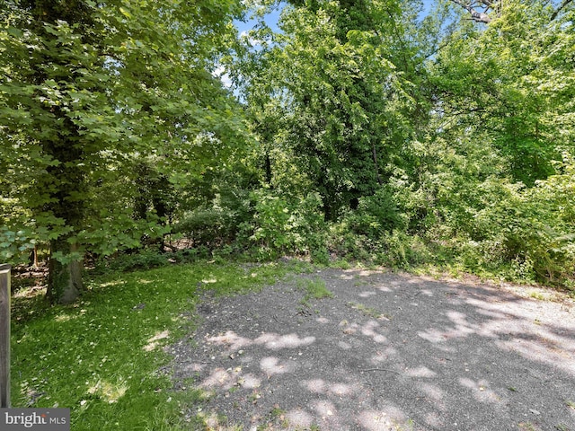 1812 64th Ave, Landover, MD 20785 - view of yard
