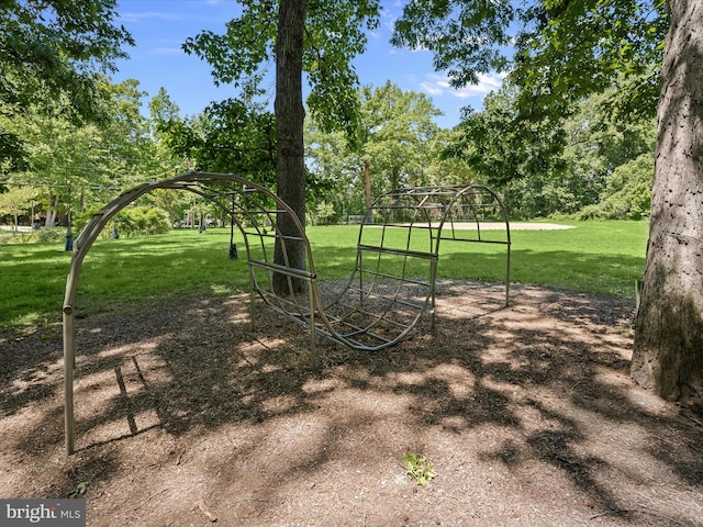 1812 64th Ave, Landover, MD 20785 - view of green lawn with view of scattered trees