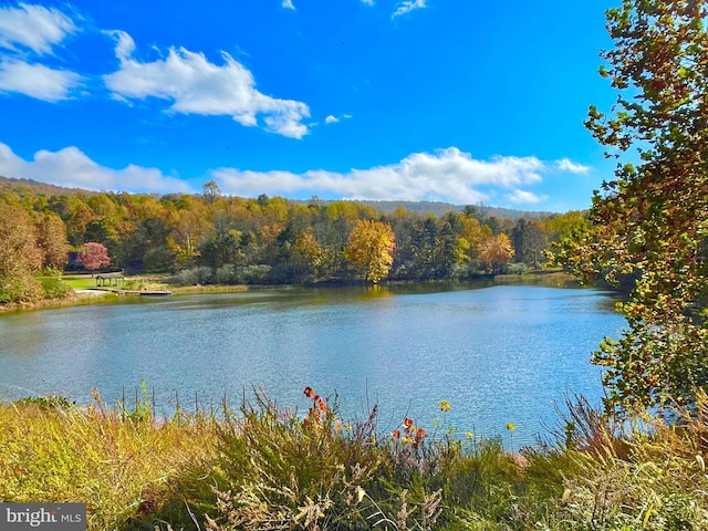 771 Joans Quadrangle Rd, Front Royal, VA 22630 - water view with a forest
