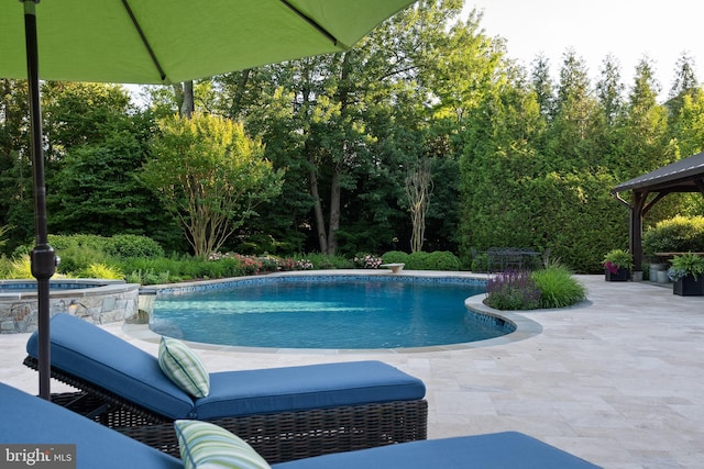 6529 Sothoron Rd, Mclean, VA 22101 - view of pool featuring a patio and a pool with connected hot tub