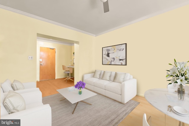 2633 Adams Mill Rd NW Unit 103, Washington, DC 20009 - living room with wood finished floors, crown molding, and ceiling fan
