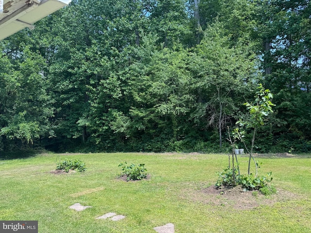3901 Glenbrook Rd, Fairfax, VA 22031 - view of green lawn