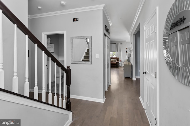 14 Barclay Ct, Bordentown, NJ 08505 - hall with stairs, ornamental molding, wood-type flooring, and baseboards