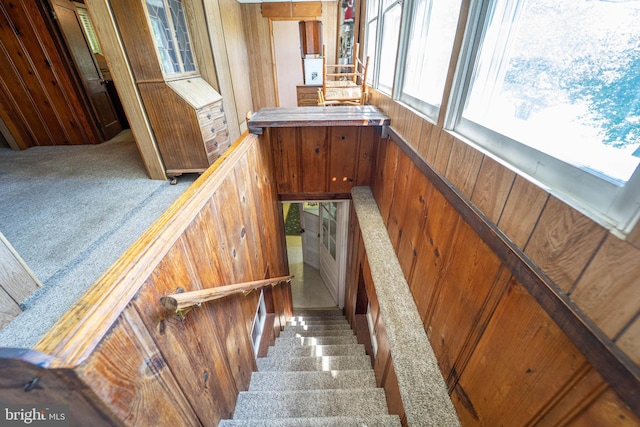 555 Riverside Dr, Pasadena, MD 21122 - stairs with carpet flooring and wood walls