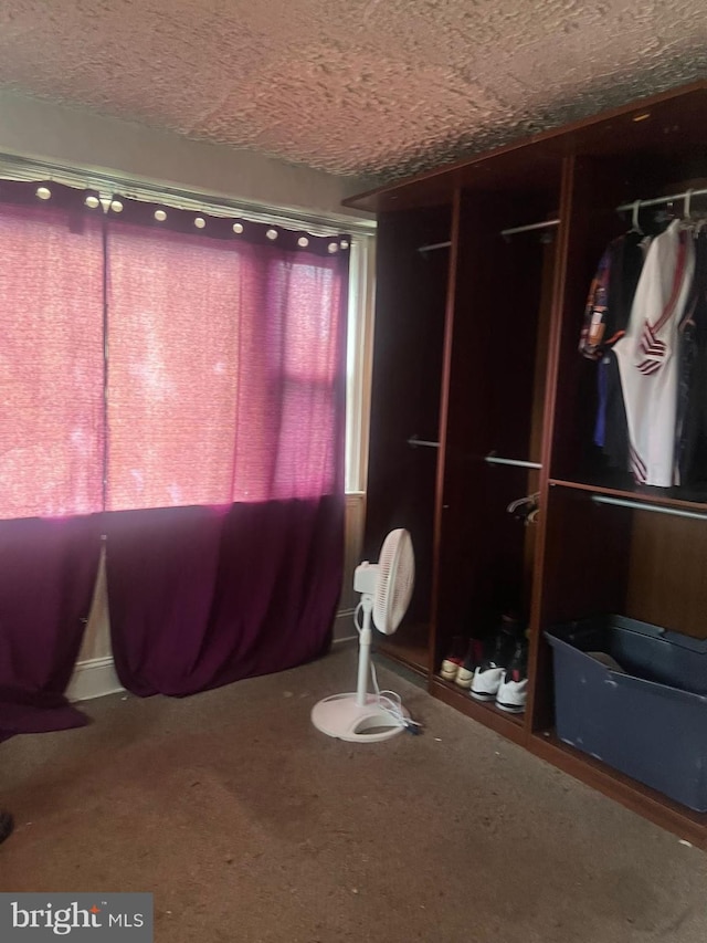 view of miscellaneous room