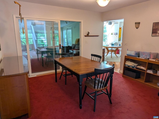 27 Fairway Dr, Palmyra, VA 22963