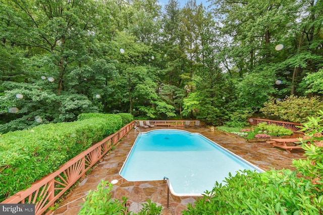 981 Old Holly Dr, Great Falls, VA 22066 - view of swimming pool