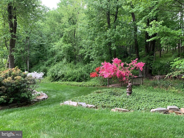 981 Old Holly Dr, Great Falls, VA 22066 - view of grassy yard featuring a forest view