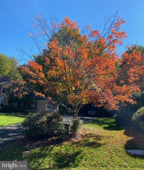 981 Old Holly Dr, Great Falls, VA 22066 - view of front of house with a front lawn