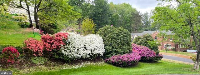 981 Old Holly Dr, Great Falls, VA 22066 - view of home's community featuring a lawn