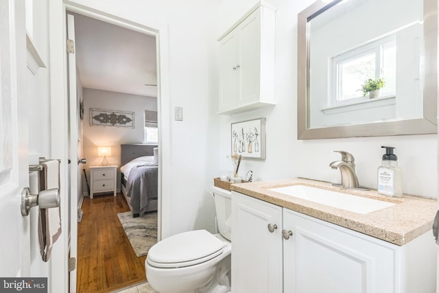 241 Fenwick Rd, Woodstown, NJ 08098 - bathroom with vanity, plenty of natural light, toilet, and wood finished floors