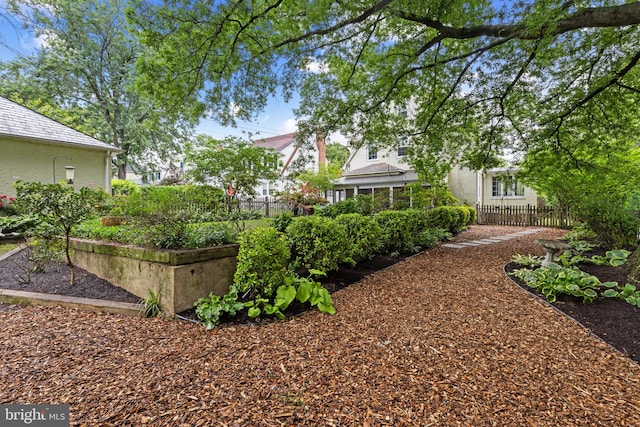 4404 Eastway, Baltimore, MD 21218 - view of yard