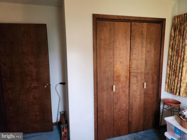 bedroom featuring carpet and a closet