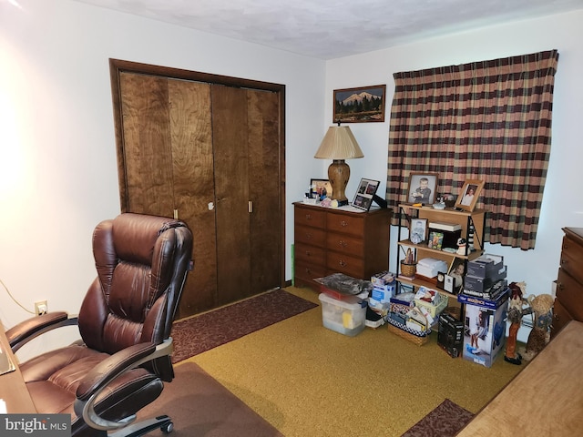 office space with carpet flooring