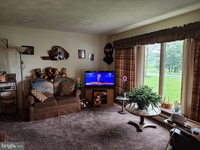 view of carpeted living area