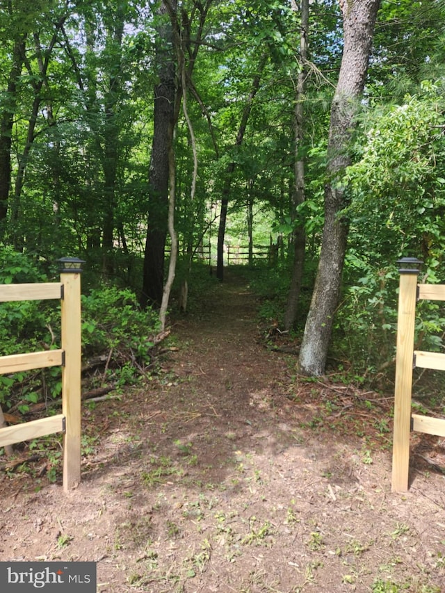 1615 Kilgore Rd, Paw Paw, WV 25434 - view of local wilderness