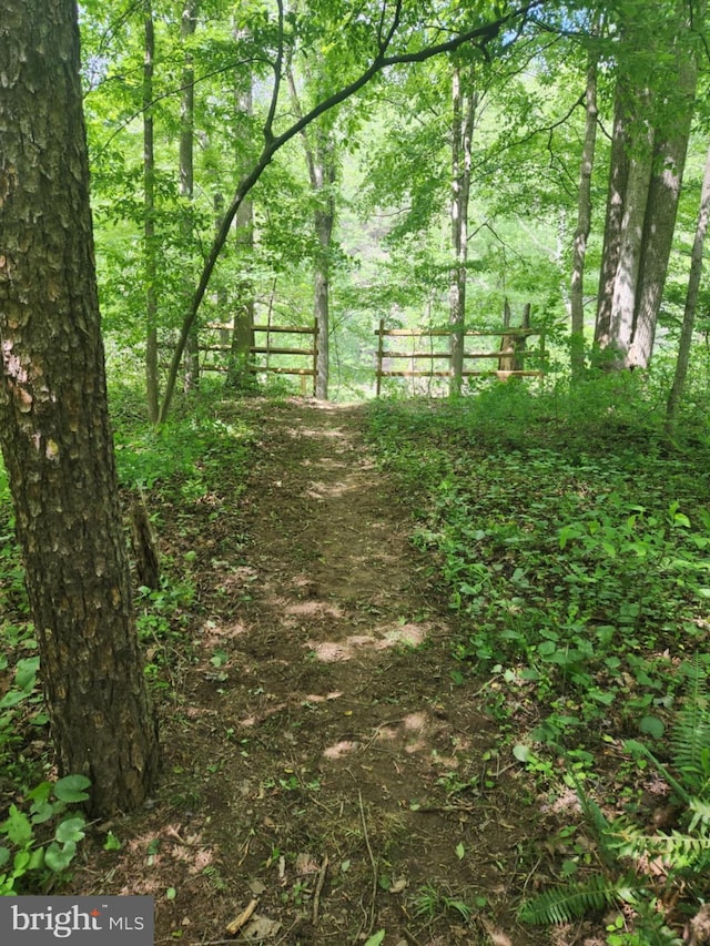 1615 Kilgore Rd, Paw Paw, WV 25434 - view of woods