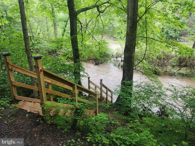 1615 Kilgore Rd, Paw Paw, WV 25434 - water view with a heavily wooded area
