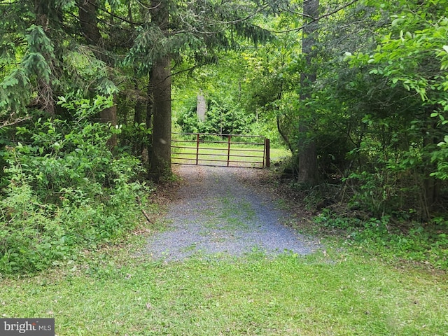 1615 Kilgore Rd, Paw Paw, WV 25434 - view of dirt / gravel road featuring a gate and a wooded view